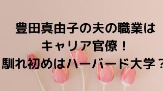 豊田真由子の夫の職業はキャリア官僚！馴れ初めはハーバード大学？