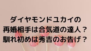 ダイヤモンドユカイの再婚相手は合気道の達人？馴れ初めは秀吉のお告げ？