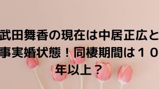 武田舞香の現在は中居正広と事実婚状態！同棲期間は１０年以上？