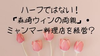 ハーフではない！「森崎ウィンの両親」・ミャンマー料理店を経営？