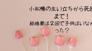 小松暢の生い立ちから死因まで！結婚歴は２回で子供はいなかった？