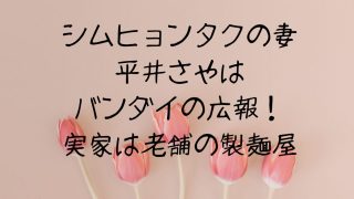 シムヒョンタクの妻平井さやはバンダイの広報！実家は老舗の製麺屋