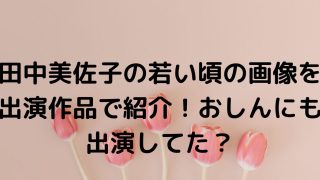 田中美佐子の若い頃の画像を出演作品で紹介！おしんにも出演してた？