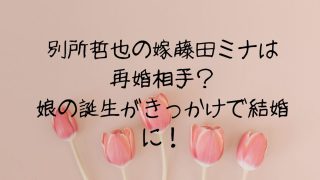 別所哲也の嫁藤田ミナは再婚相手？娘の誕生がきっかけで結婚に！