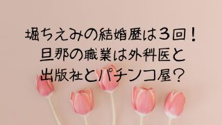 堀ちえみの結婚歴は３回！旦那の職業は外科医と出版社とパチンコ屋？