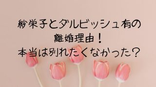 紗栄子とダルビッシュ有の離婚理由！慰謝料無しが物語る真相は？