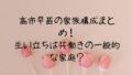 高市早苗の家族構成まとめ！生い立ちは共働きの一般的な家庭？