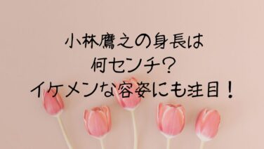 小林鷹之の身長は何センチ？イケメンな容姿にも注目！