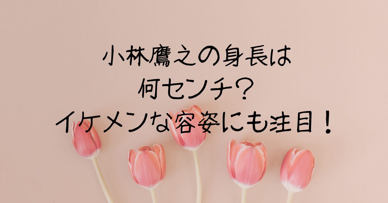 小林鷹之の身長は何センチ？イケメンな容姿にも注目！