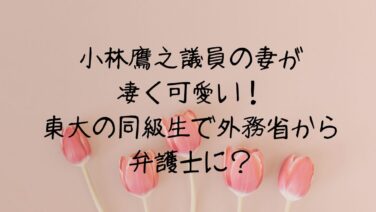 小林鷹之の妻の高校＆大学学歴が凄い！英語が話せないまま留学？