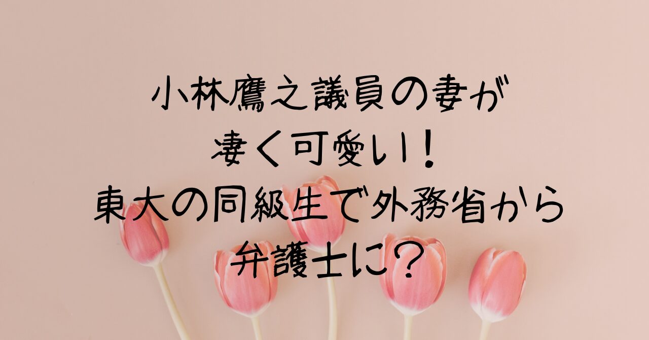 小林鷹之の妻の高校＆大学学歴が凄い！英語が話せないまま留学？