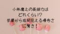 小林鷹之の英語力はどれくらい?学歴から垣間見える優秀さに驚き! 小林鷹之の英語力はどれくらい?学歴から垣間見える優秀さに驚き!