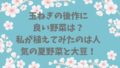 玉ねぎの後作に良い野菜は？私が植えてみたのは人気の夏野菜
