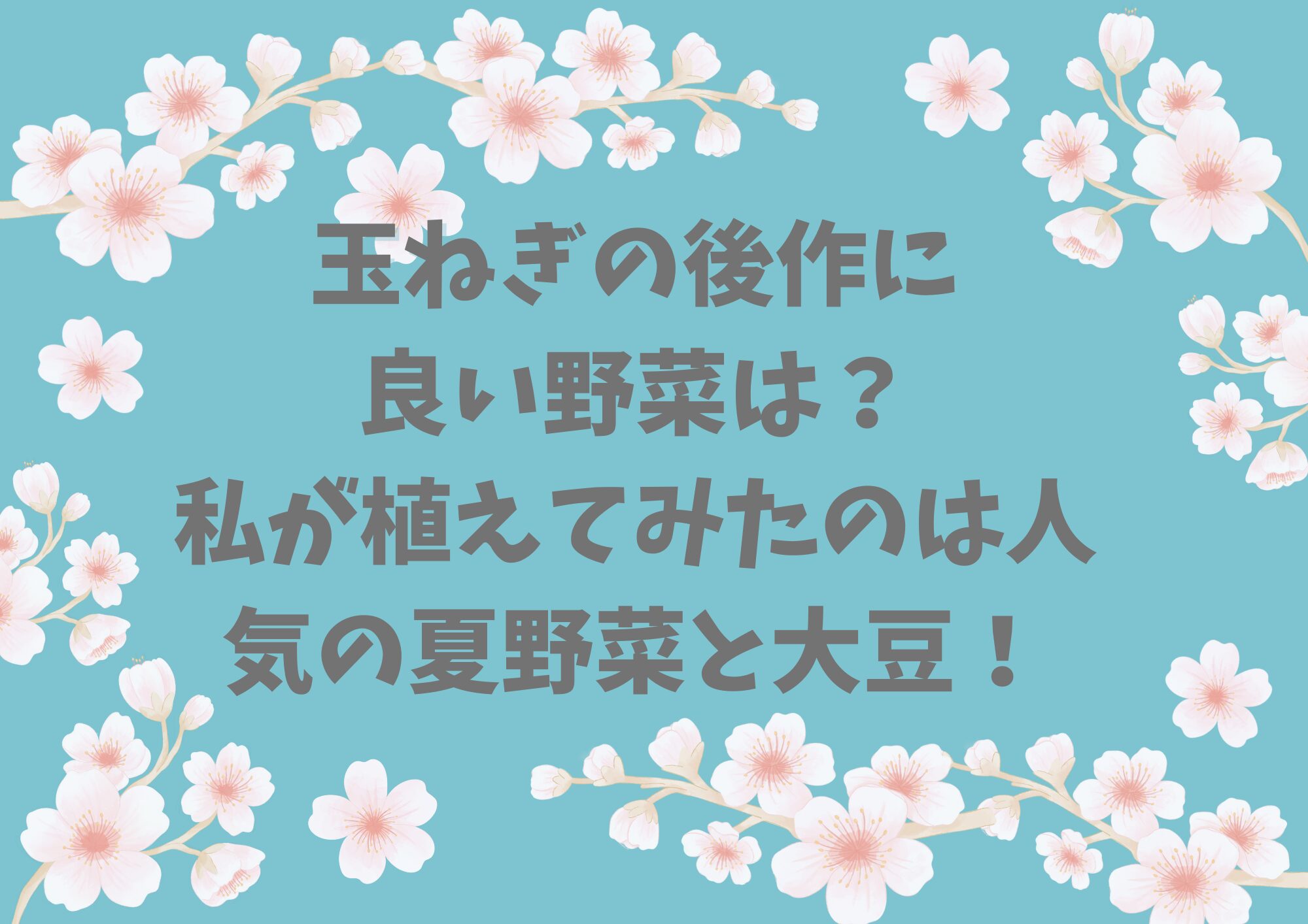 玉ねぎの後作に良い野菜は？私が植えてみたのは人気の夏野菜