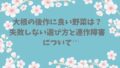 大根の後作に良い野菜は？失敗しない選び方と連作障害について