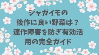 ジャガイモの後作に良い野菜は？連作障害を防ぎ有効活用の完全ガイド