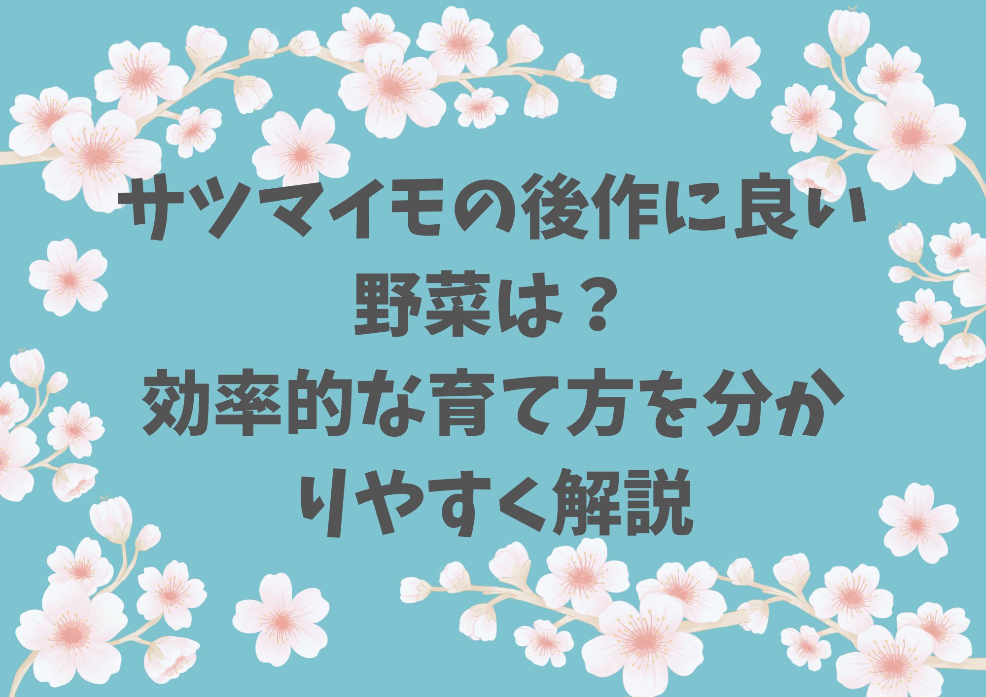 サツマイモの後作に良い野菜は？効率的な育て方を分かりやすく解説
