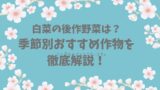 白菜の後作に良い野菜は？季節別おすすめ作物を徹底解説！