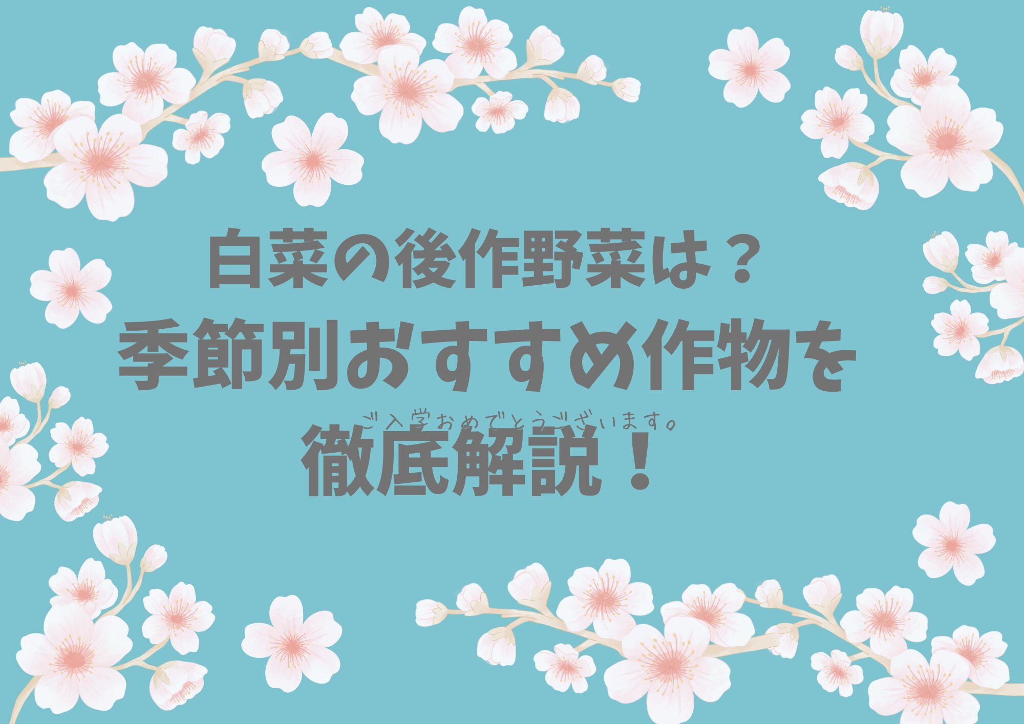 白菜の後作に良い野菜は？季節別おすすめ作物を徹底解説！